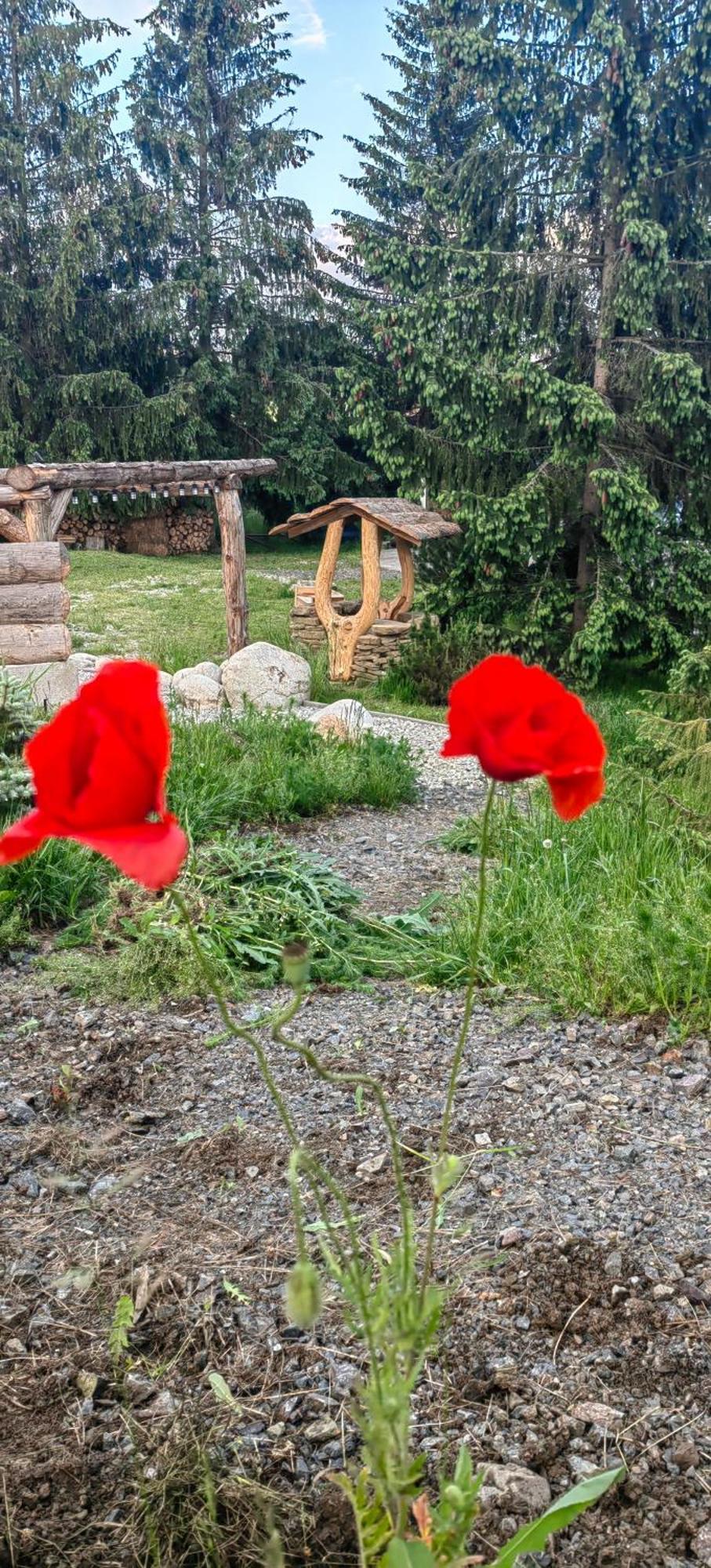 Ferienwohnung Mlyn Tatry Veľký Slavkov Zimmer foto